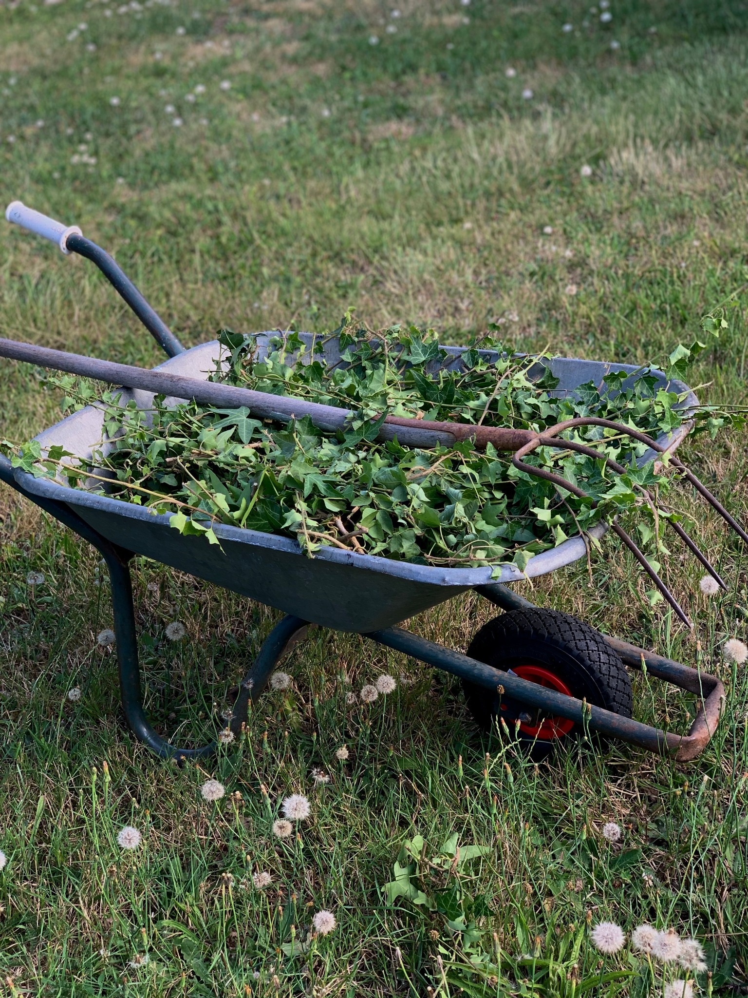 Debarras de jardin